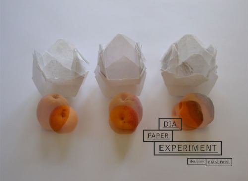 Sustainable packaging, Graphic design, Video Making for the project ‘Dia Paper Experiment, Fruit Bowl. Notes an experimental’, July 2014. Realized for the exhibition Diatom De-Science. Intersection between Design and Science at Città della Scienza,...